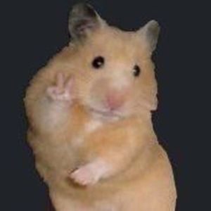 Meet your Posher, Rose